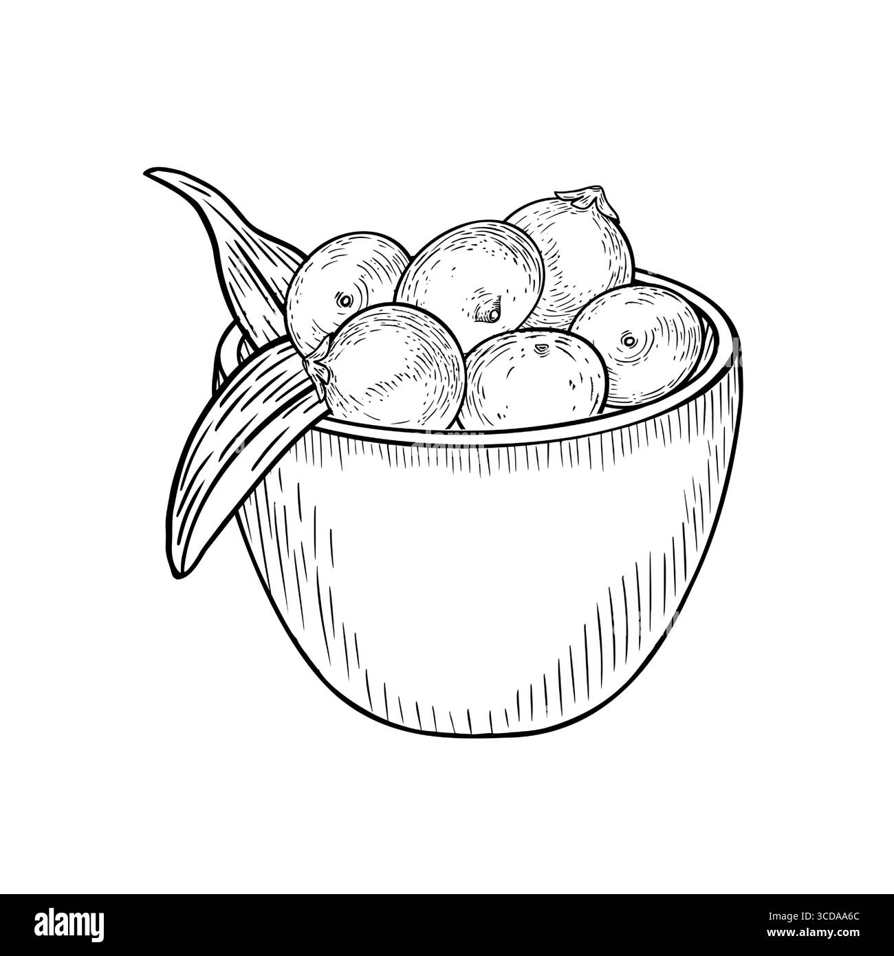 Bol de baies d'açai illustration vectorielle noire blanche isolée sur blanc. Petites baies tropicales fraîches, feuilles de palmier dans un contour de plaque profond dessiné à la main Illustration de Vecteur