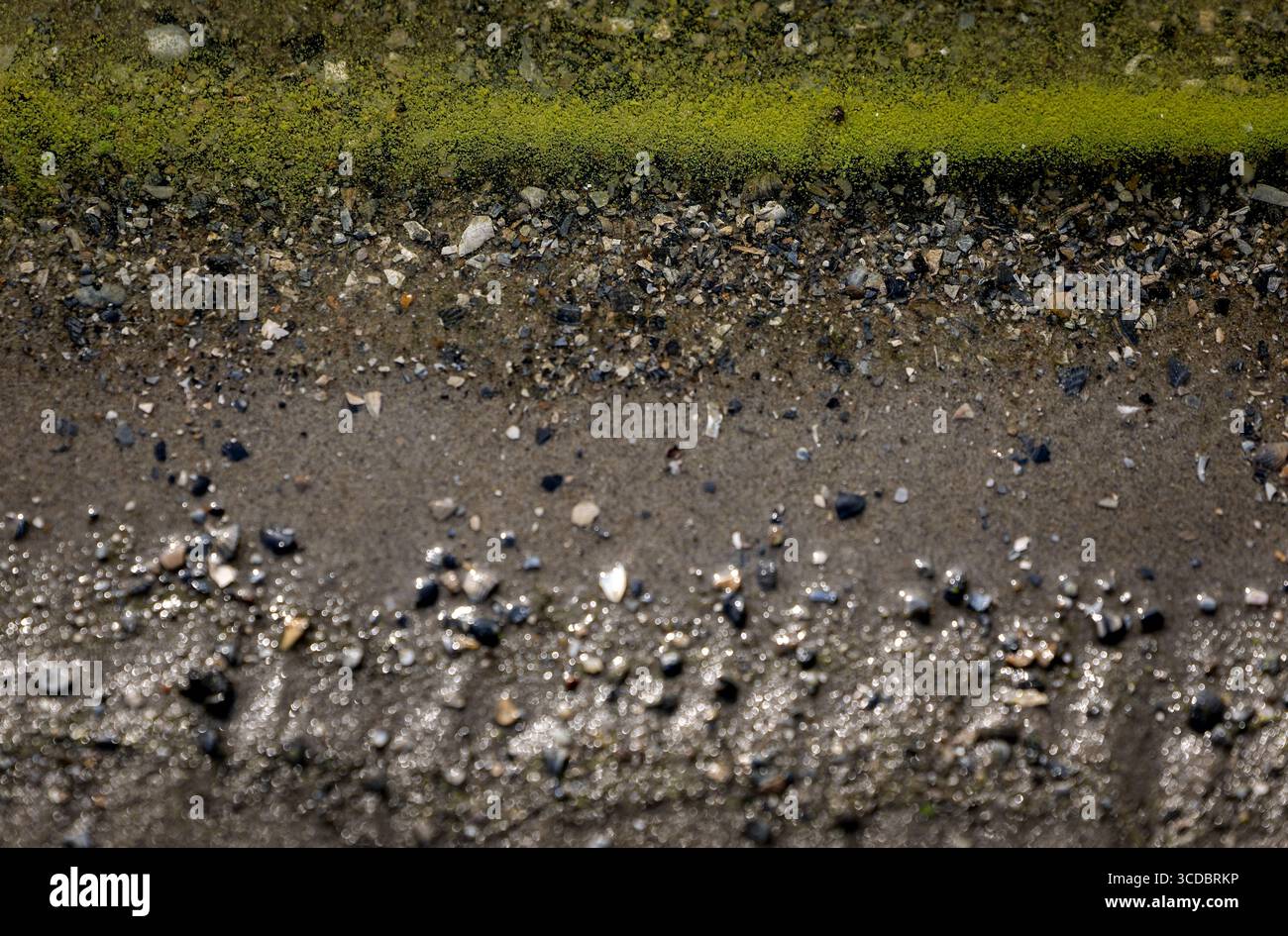 UITGEEST - L'eau de baignade à l'endroit de baignade Dorregeest. Cette année, il y a beaucoup plus de lieux de baignade aux pays-Bas avec une eau de mauvaise qualité. ANP KOEN VAN WEEL netherlands Out - belgique Out Credit : ANP/Alamy Live News Banque D'Images