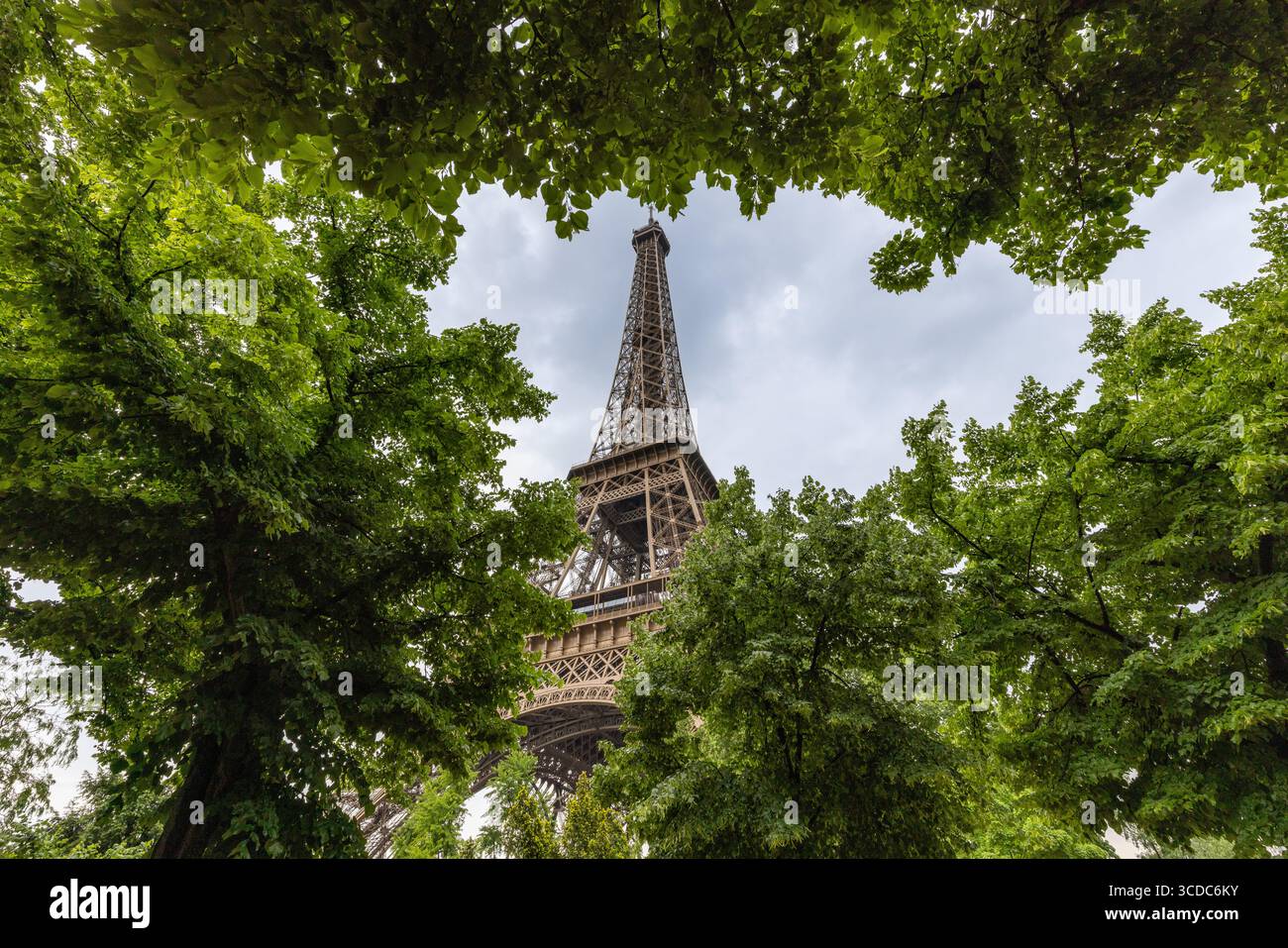 Vue sur la Tour Eiffel s'élève majestueusement à travers un cadre naturel de feuilles vertes luxuriantes contre un ciel doux et couvert, Paris, Île-de-France, France. Banque D'Images