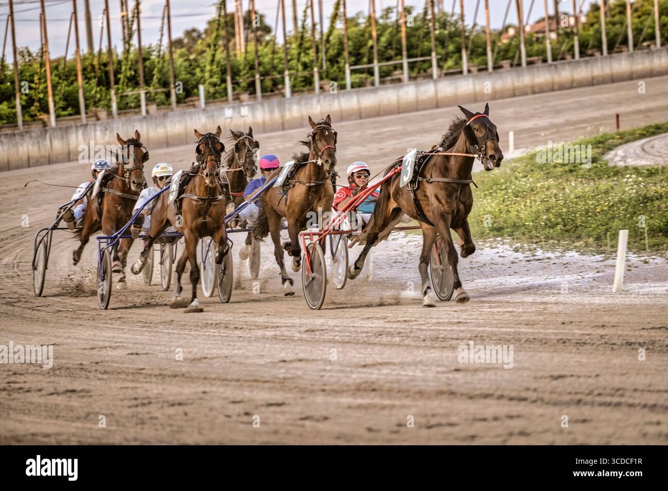Padoue, italie 18 juillet 2025, groupe de jockeys conduisant des chevaux attelés en compétition sur une piste de trot en terre Banque D'Images