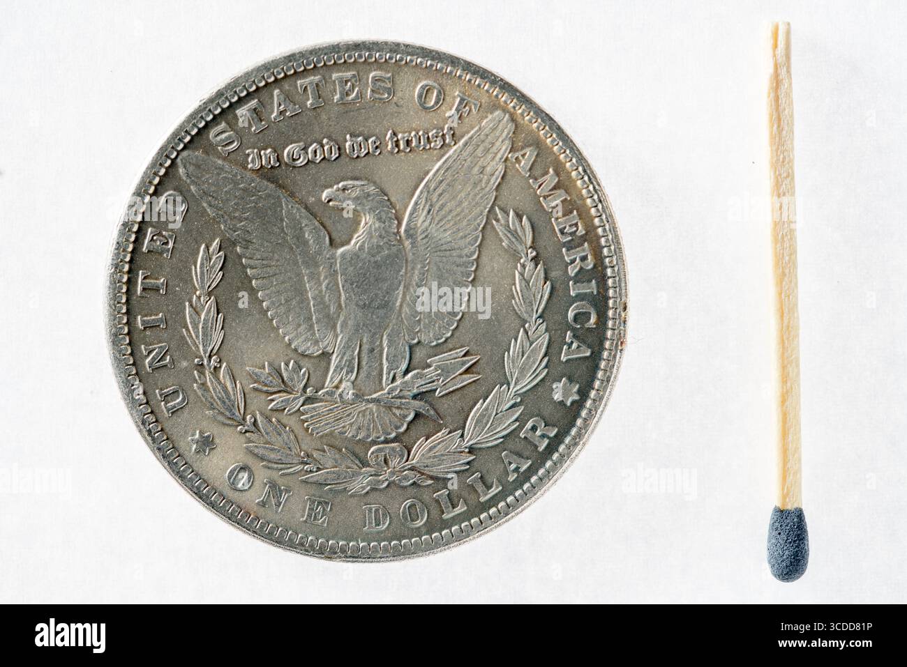 Hobo Morgan Dollar réplique, US Morgan Dollar (1921) pièce d'argent (revers, face arrière) Banque D'Images