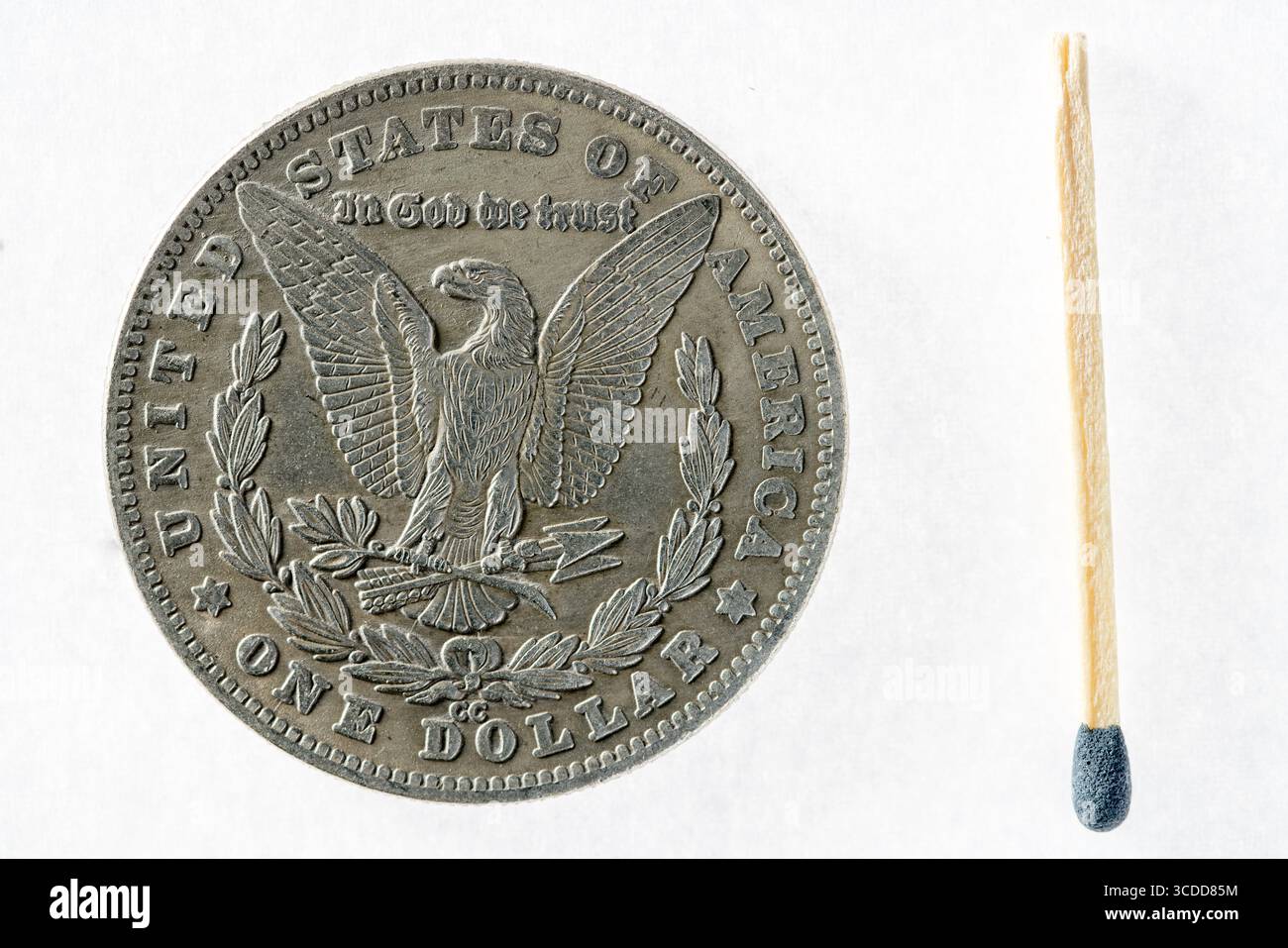 Hobo Morgan Dollar réplique, US Morgan Dollar (1890) pièce d'argent (revers, face arrière) Banque D'Images