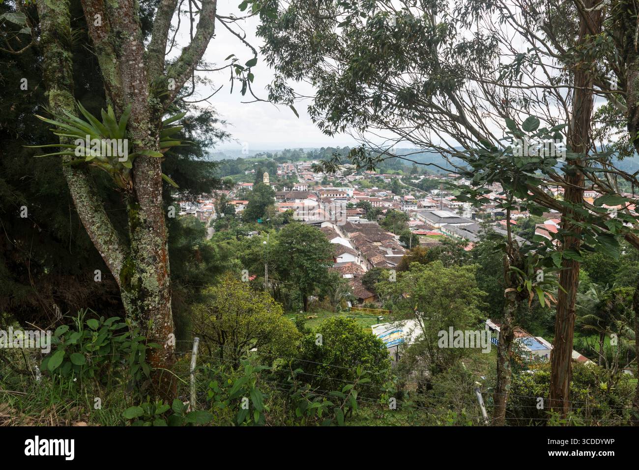 Vue aérienne à travers la végétation sur la ville de Salento, département de Quindío, Colombie Banque D'Images