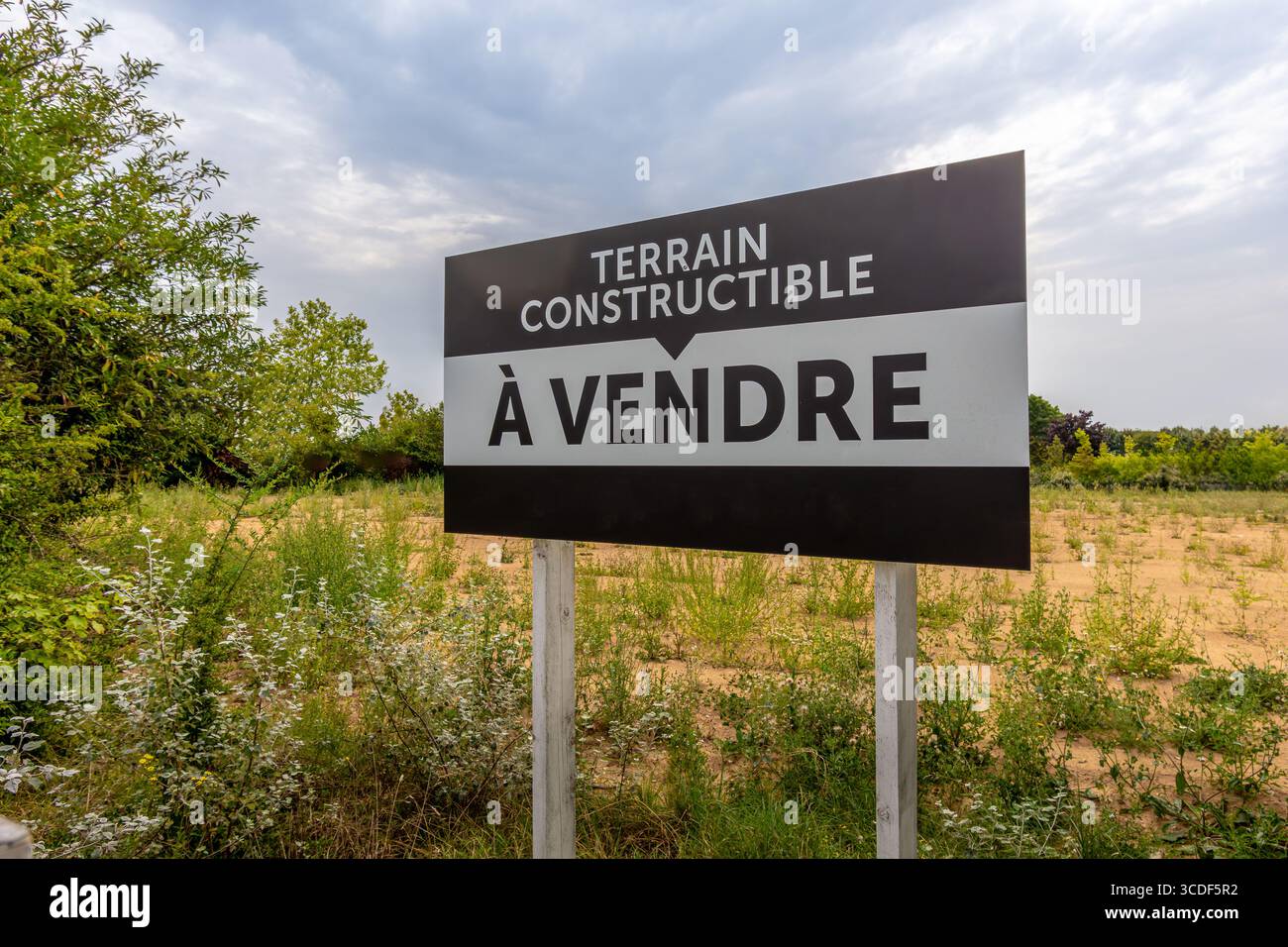 'Terrain à bâtir à vendre' écrit en français sur un panneau placé sur un terrain vacant sans bâtiments autour. Concepts de marché immobilier en France Banque D'Images