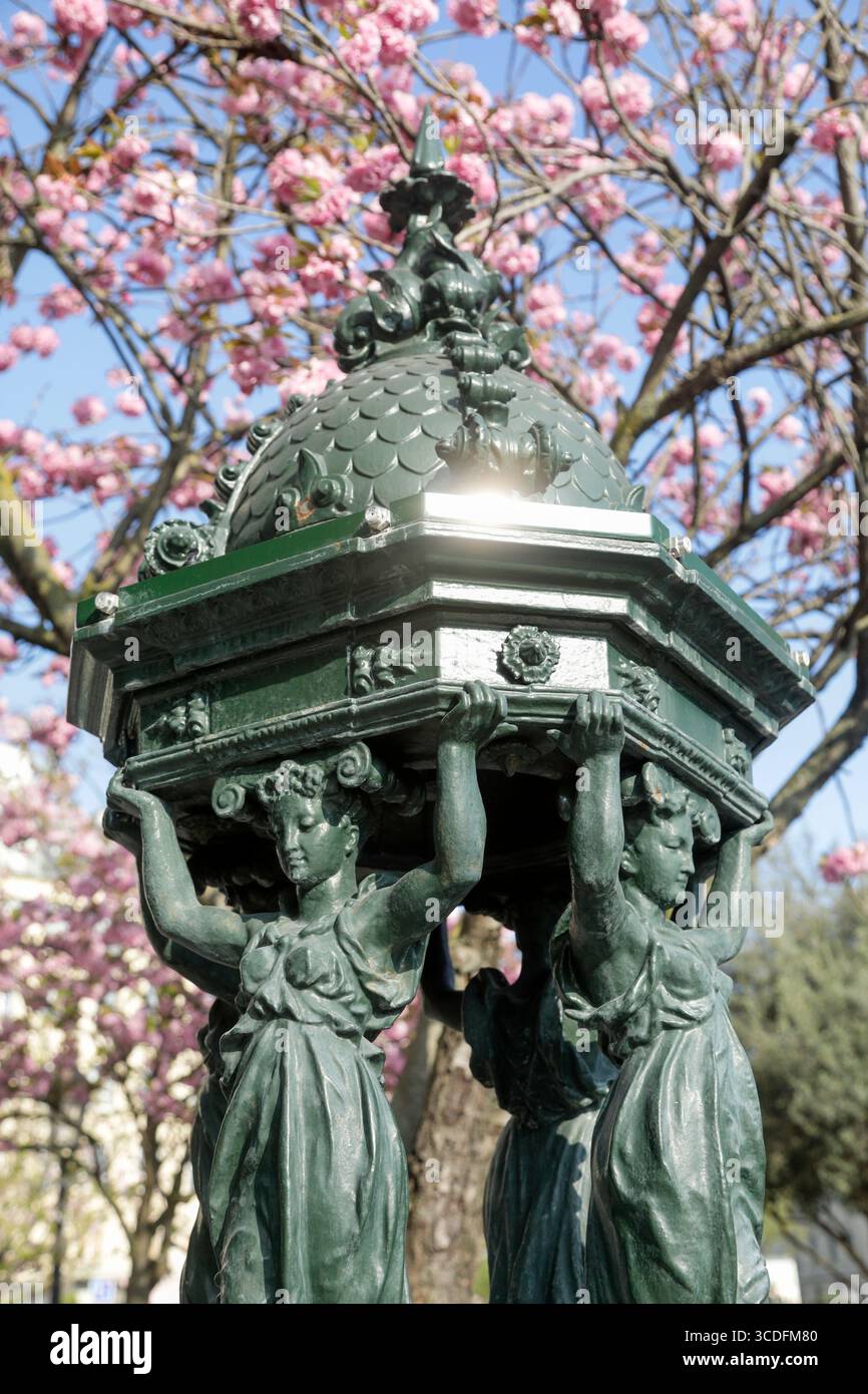 Paris, France. Europe. Cerisiers en fleurs en pleine floraison au printemps à Paris avec la fontaine Wallace classique. Banque D'Images