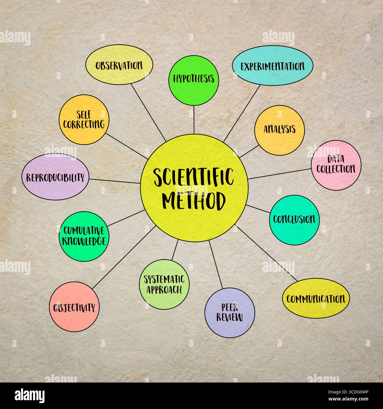 infographie de méthode scientifique ou croquis de carte mentale, science et concept de recherche Banque D'Images