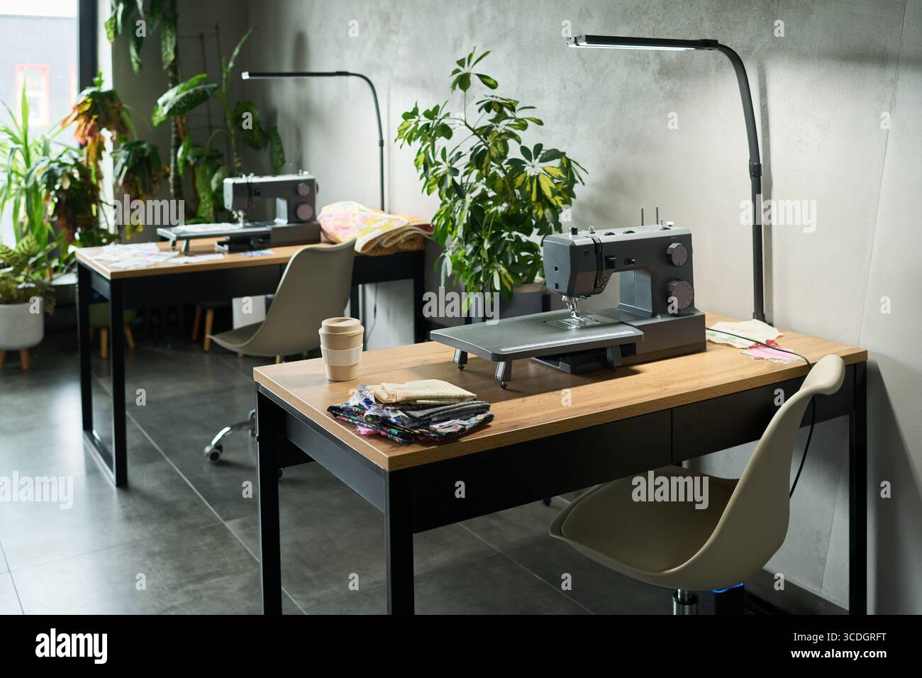 Atelier de couture vide avec deux machines à coudre modernes sur des bureaux en bois avec des morceaux de tissu et tasse à café, plantes d'intérieur en arrière-plan, cadre contemporain de l'espace de travail Banque D'Images