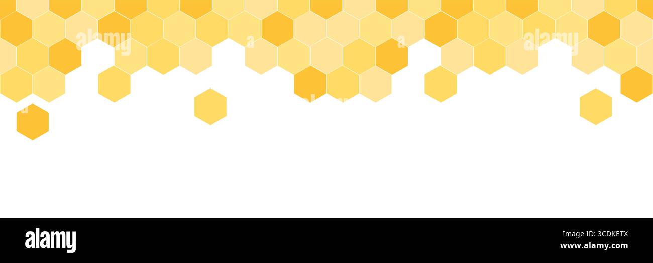 Motif de bordure sans couture avec nid d'abeilles. Conception de cadre d'apiculture mignon isolé sur fond blanc. Illustration vectorielle. Illustration de Vecteur