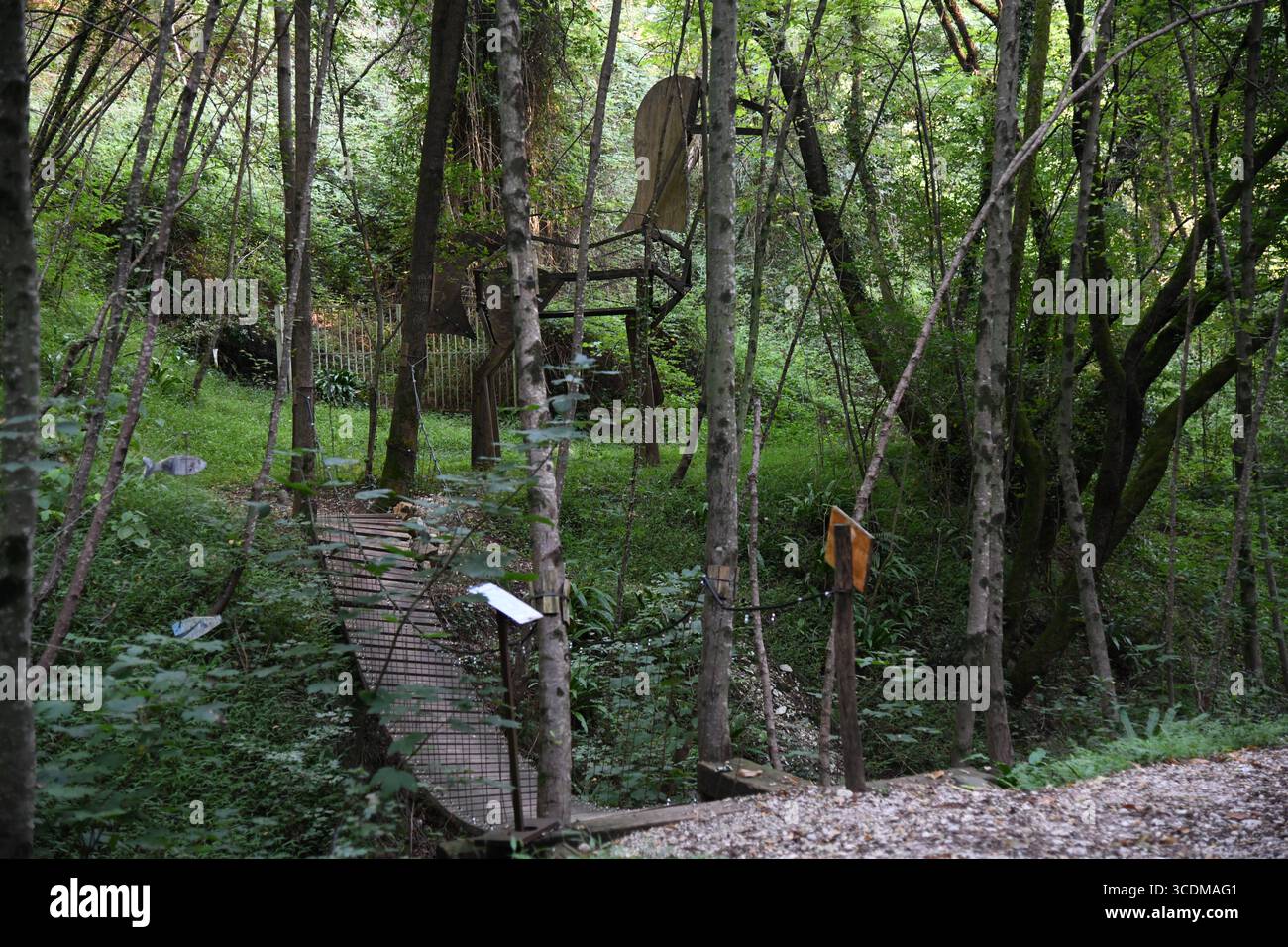 Pont en bois & sculpture en bois dans la forêt Banque D'Images