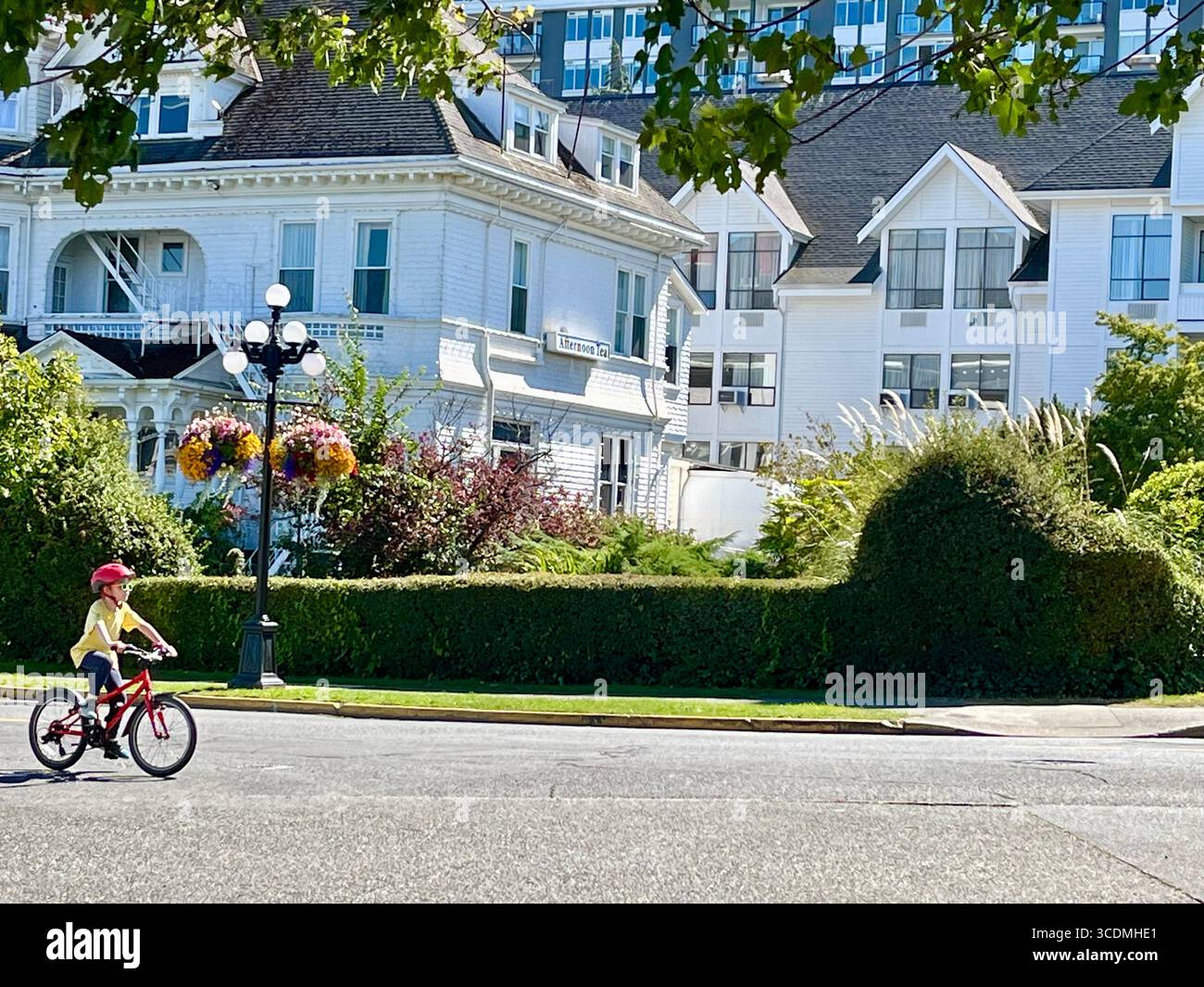Cyclisme devant le Huntingdon Manor Hotel, Victoria, BC, Canada Banque D'Images