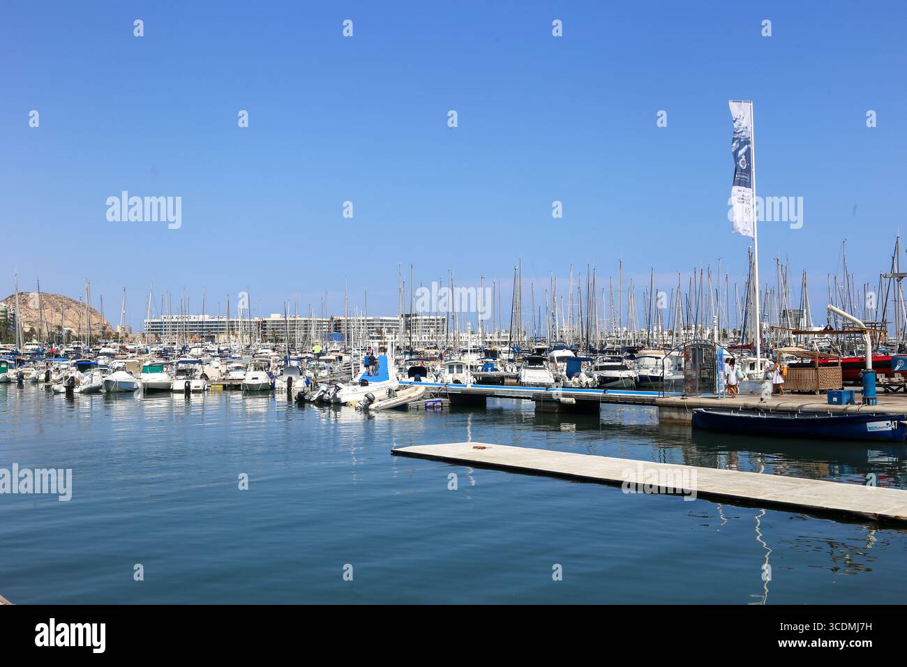 Alicante, Espagne, 13 août 2025 : vue de la marina d'Alicante pendant Tourisme à Alicante, Espagne, le 13 août 2025. Crédit : Alberto Brevers / Alamy Live News. Banque D'Images