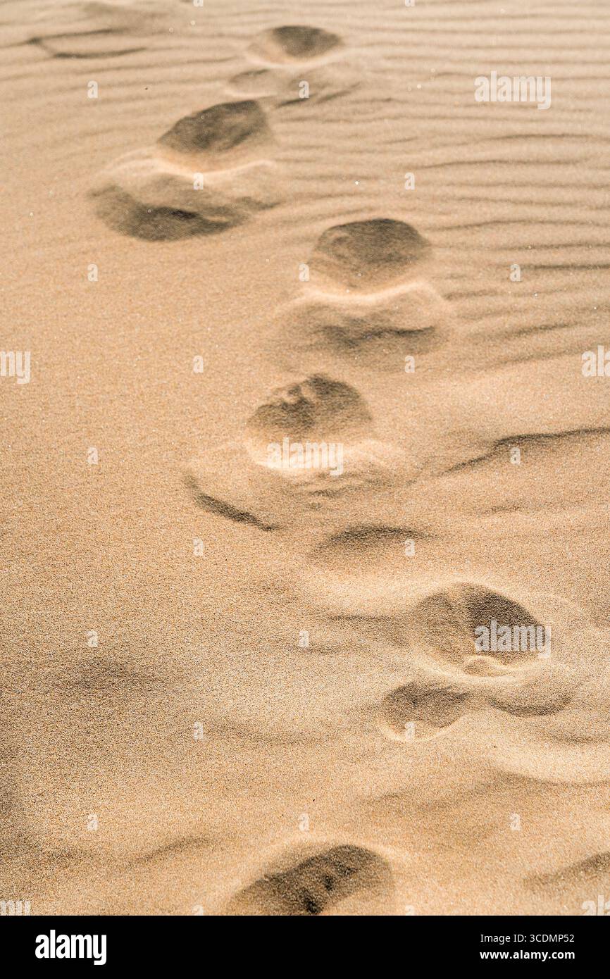 Empreintes de pas dans le sable doré sous le soleil Banque D'Images