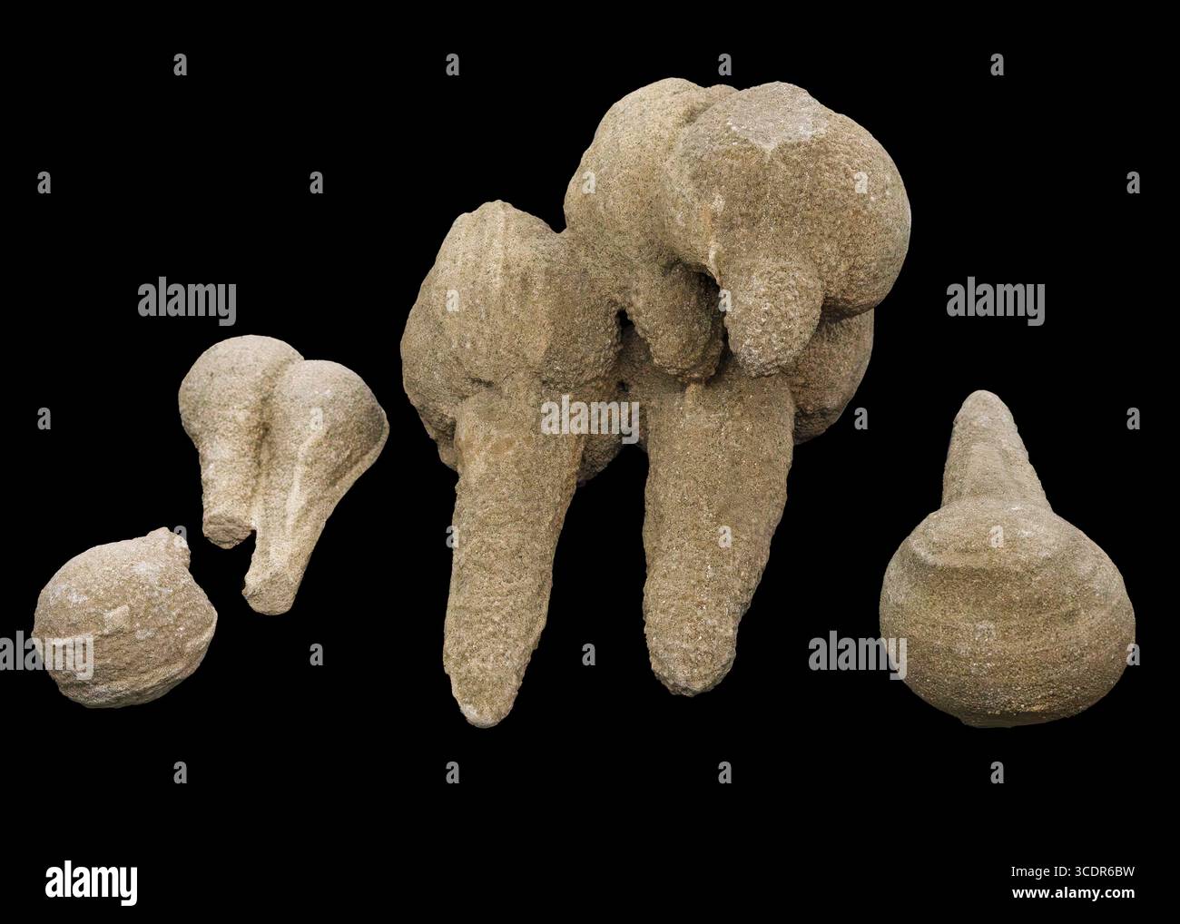 Des épis de sable (séismites) trouvés avec des queues pointant loin de la faille de San Andreas voisine, Imperial Valley, Imperial County, Californie Banque D'Images