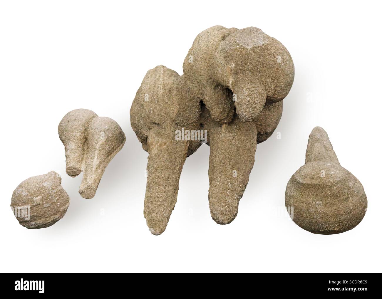 Des épis de sable (séismites) trouvés avec des queues pointant loin de la faille de San Andreas voisine, Imperial Valley, Imperial County, Californie Banque D'Images