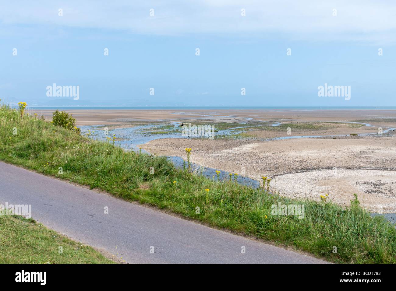 Vue de Blackpill Beach en été avec sentier pédestre et piste cyclable de Swansea Bay, Mumbles, pays de Galles du Sud, Royaume-Uni Banque D'Images