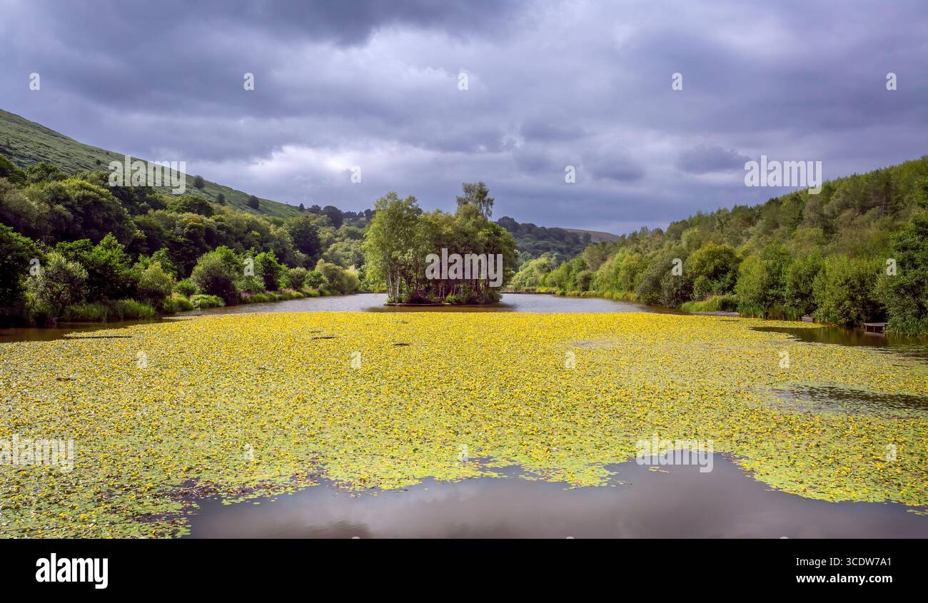 Le lac dans le magnifique Parc Cwm Darren, un site gallois principal pour les spécimens de poissons comme Carp, Roach et Perch dans la vallée de Rhymney dans le sud du pays de Galles Banque D'Images