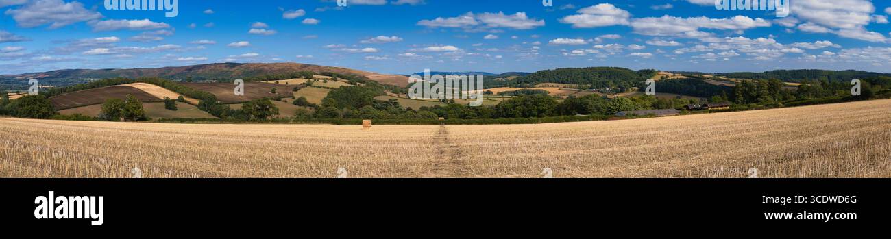 Panorama de fin d'été d'un champ récolté avec une seule balle de paille, collines ondulantes en patchwork et nuages éparpillés dans le Shropshire, Royaume-Uni. Banque D'Images