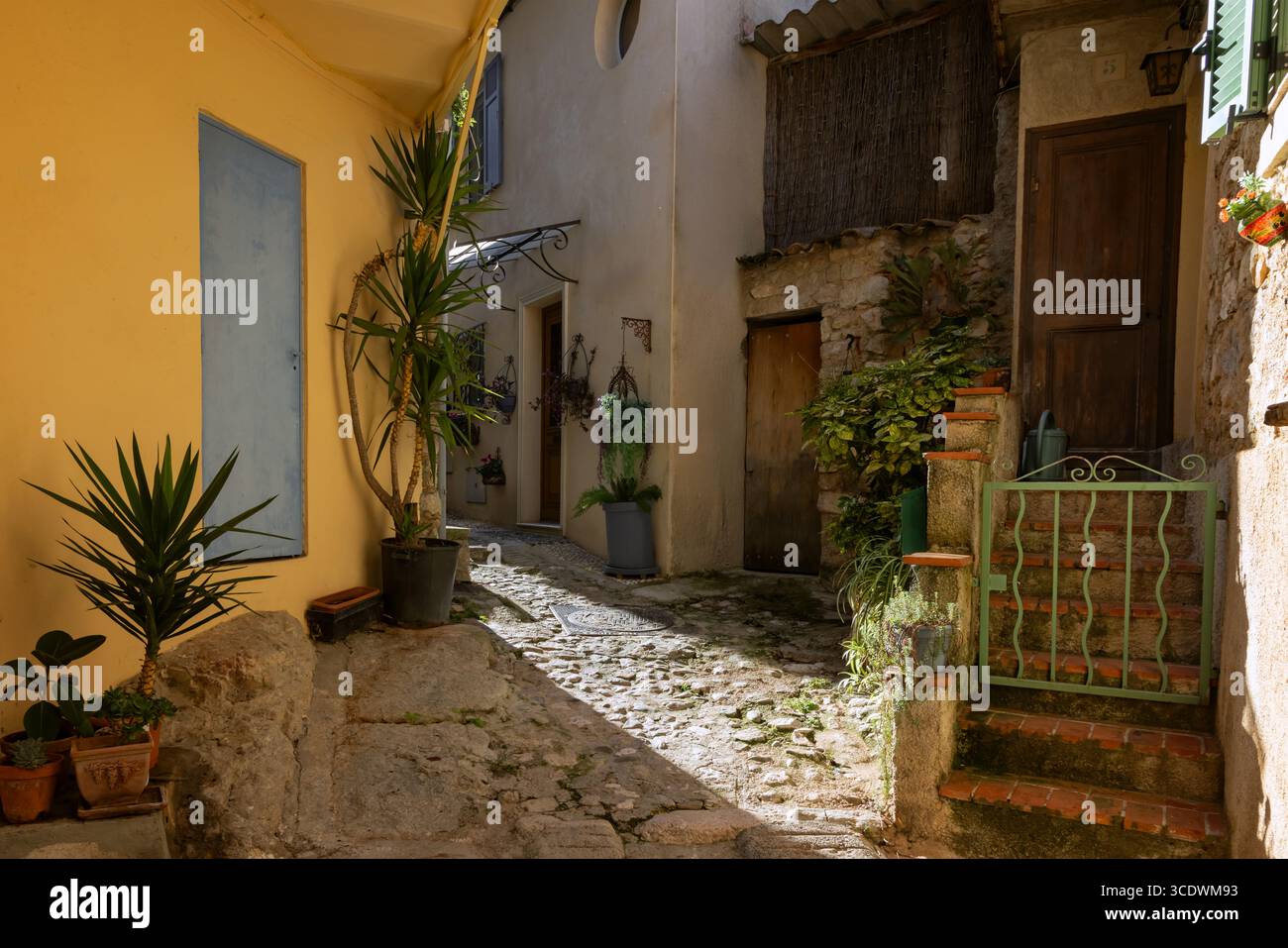 Pittoresque ruelle étroite à Gorbio, un village médiéval dans les Alpes Maritimes de France, avec des murs de pierre, des volets colorés et une végétation luxuriante. Banque D'Images