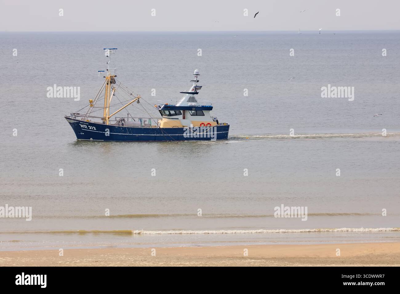 Le bateau de pêche WR212 rein Willem navigue sur la mer du Nord au large de la côte néerlandaise aux pays-Bas, avec des vagues douces et des oiseaux de mer au-dessus d'une plage tranquille. Banque D'Images