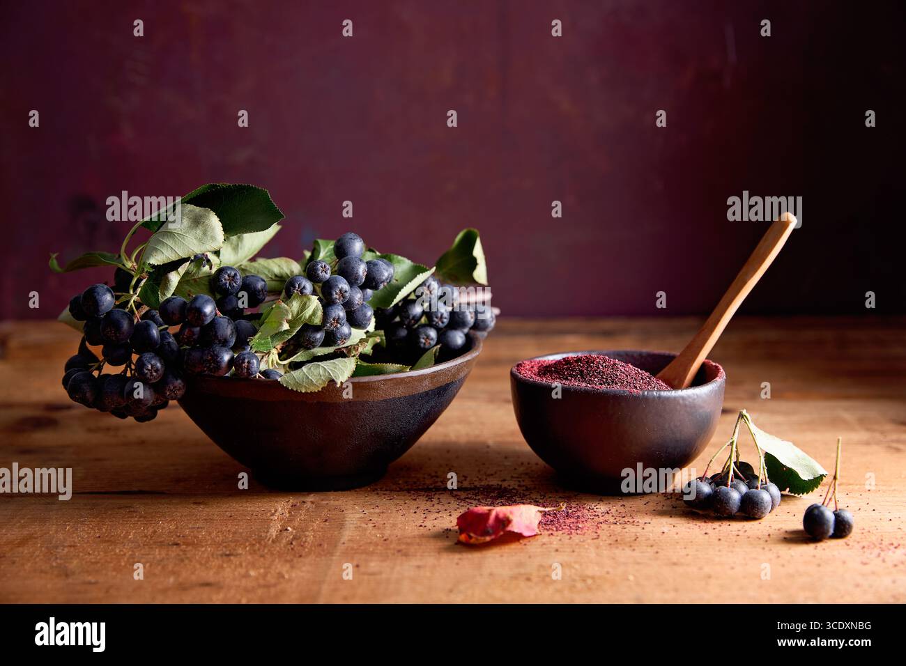 Aronia poudre dans un bol Banque D'Images