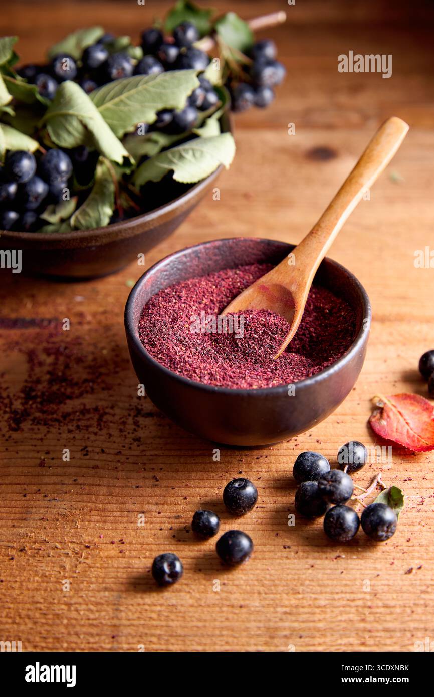 Aronia poudre dans un bol Banque D'Images