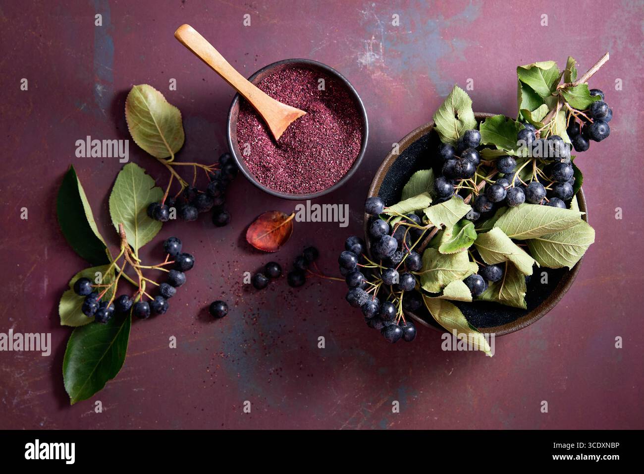 Aronia poudre dans un bol Banque D'Images