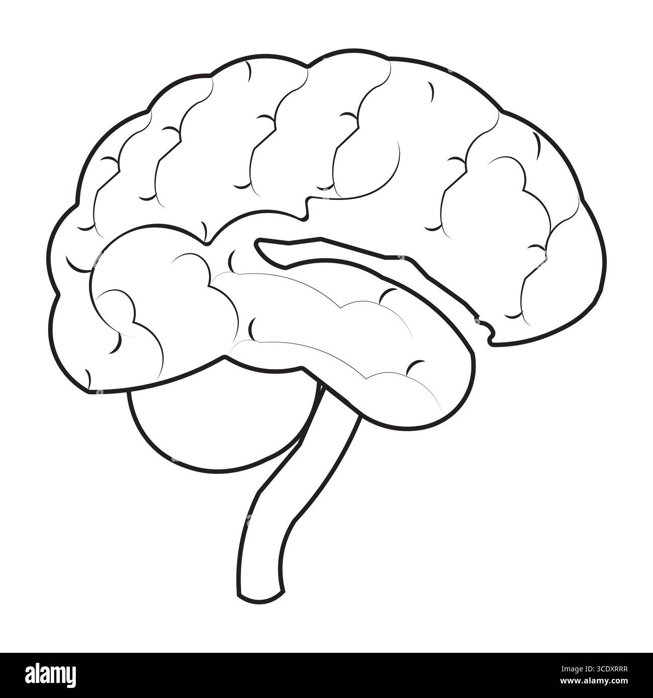 Icône de cerveau humain avec trait modifiable, illustration simple de diagramme de cerveau Illustration de Vecteur