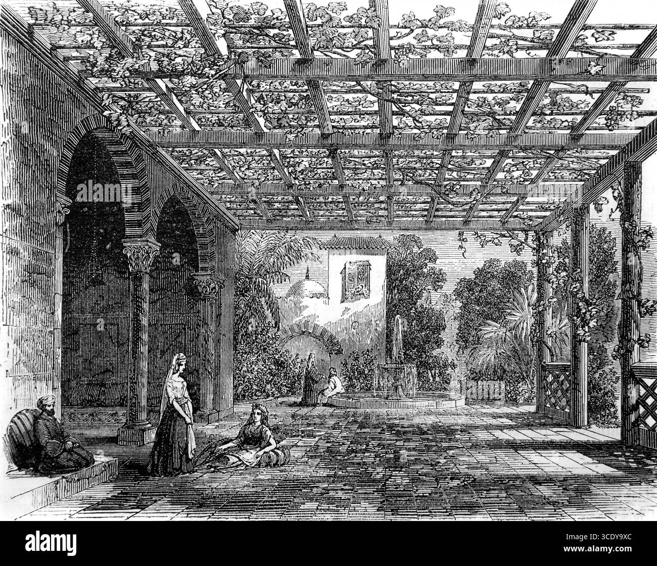 Illustration de Micah IV.4 ' chaque homme sous sa vigne et son arbre de figue ' de l'Antiquité 19ème siècle la Sainte Bible contenant l'esprit ancien et Nouveau Testament Banque D'Images