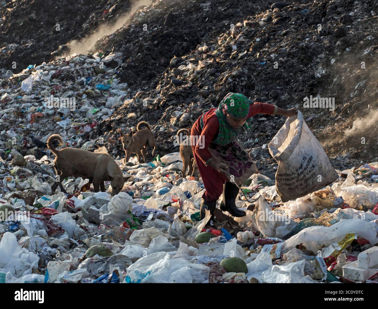 la vie à la junkyard Banque D'Images