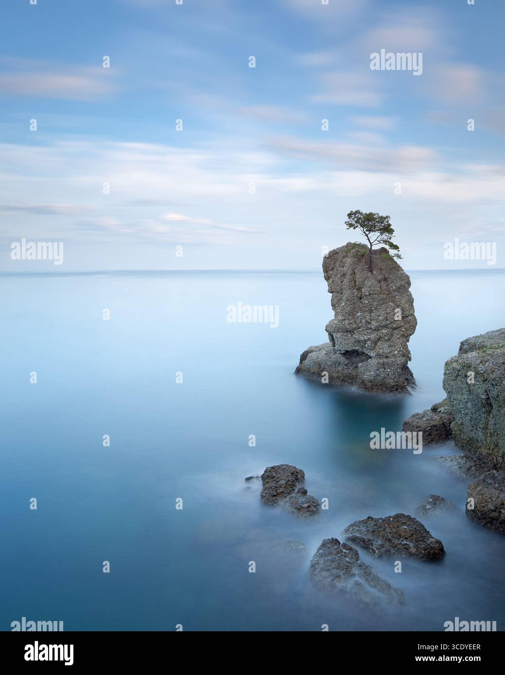 Lone Pine tree sur un rocher au bord de la mer. Parc naturel régional de Portofino. Photographie longue exposition. Région de Ligury, Italie Banque D'Images
