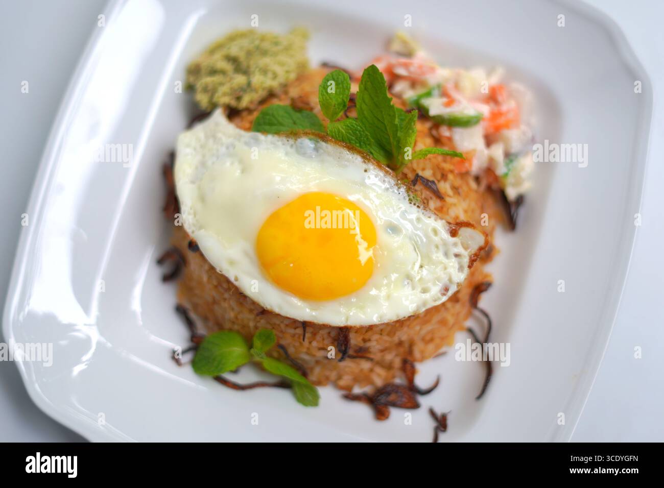 Riz Biriyani maison avec omelette aux œufs épicés sur une assiette blanche. Banque D'Images