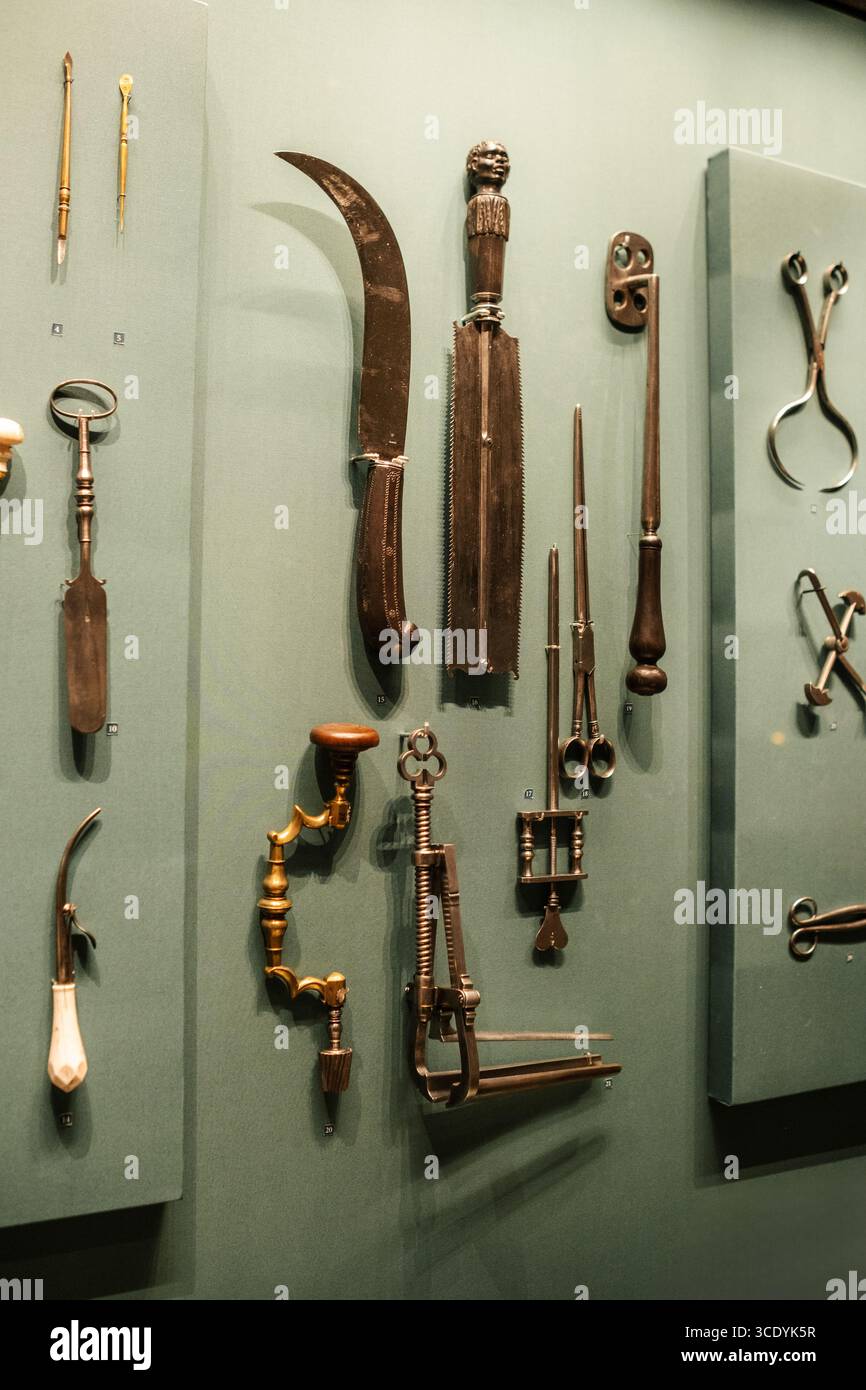 Collection d'instruments médicaux historiques exposés dans un musée présentant les pratiques chirurgicales du passé Banque D'Images