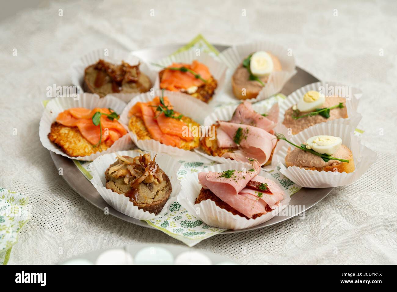Une sélection magnifiquement arrangée de canapés avec du saumon fumé, du jambon et des pâtes à tartiner salées, parfaites pour des réunions ou des fêtes élégantes. idéal pour app Banque D'Images