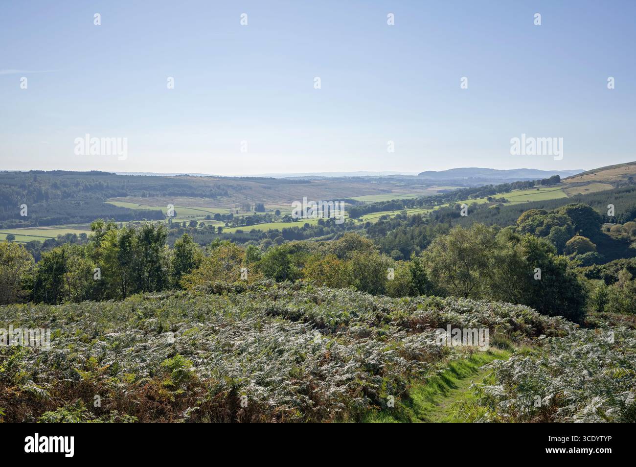 Vue ensoleillée de jour sur Strathblane jusqu'aux collines Kilpatrick, depuis le point de vue NS 612 801 sur la route Crow, au-dessus de Lennoxtown, au centre de l'Écosse. Banque D'Images