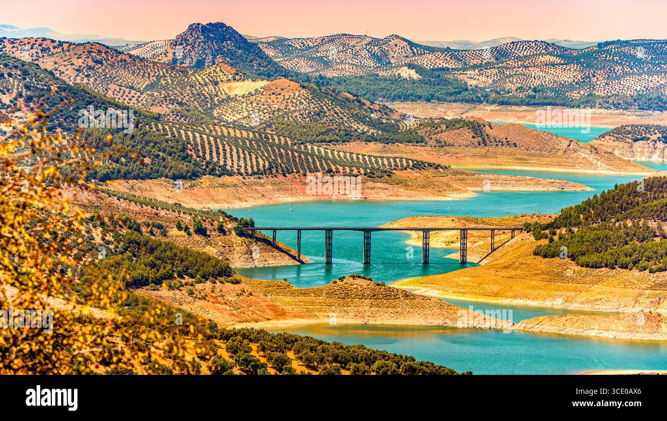 Vue panoramique sur les oliveraies et le pont sur le réservoir Turquoise en Andalousie Banque D'Images
