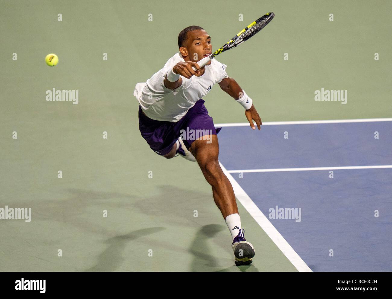 Toronto, Canada. 30 juillet 2025. Felix Auger-Aliassime, du Canada, est acclamé par Fabian Marozsan, de Hongrie, lors de leur match à l’Open de la Banque nationale à Toronto le mercredi 30 juillet 2025. Crédit : la presse canadienne/Alamy Live News Banque D'Images