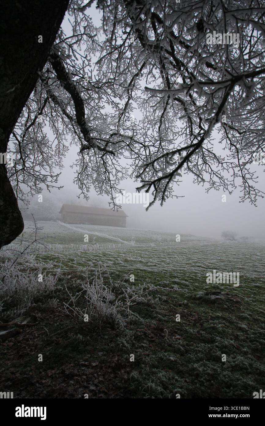 Brouillard gelé sur les arbres et les clôtures à Crémieu france Banque D'Images
