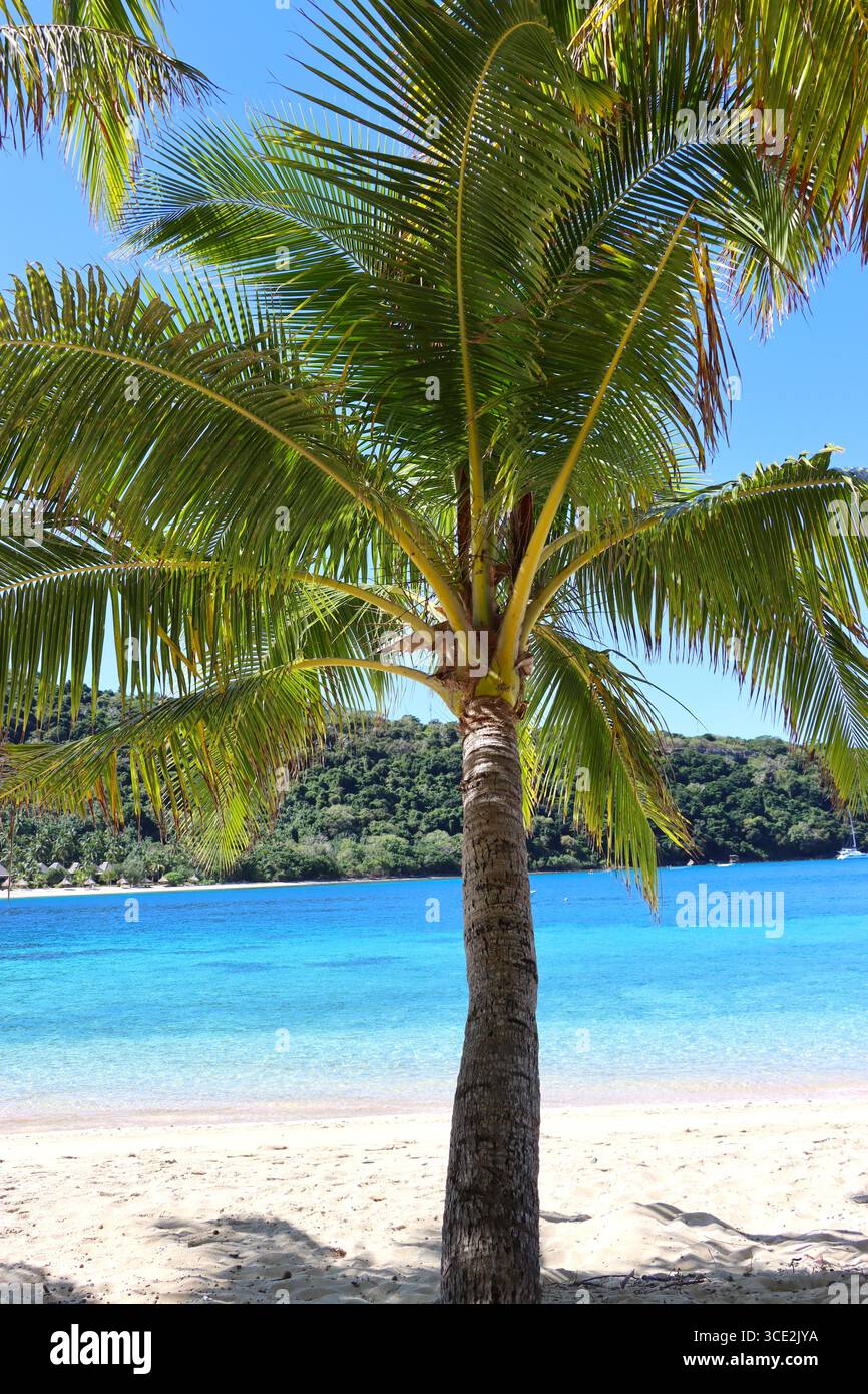 Île tropicale, Fidji Banque D'Images