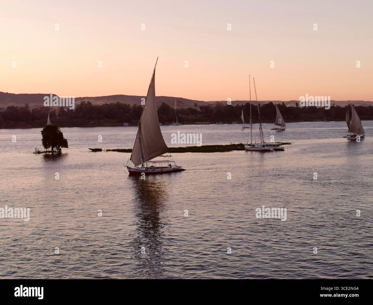 Les Feluccas naviguent sur le Nil au crépuscule à Assouan, en Égypte—lumière rose au-dessus de l'île Éléphantine et des rives nubiennes. Voiliers traditionnels au crépuscule. - Image de stock capturée avec un smartphone