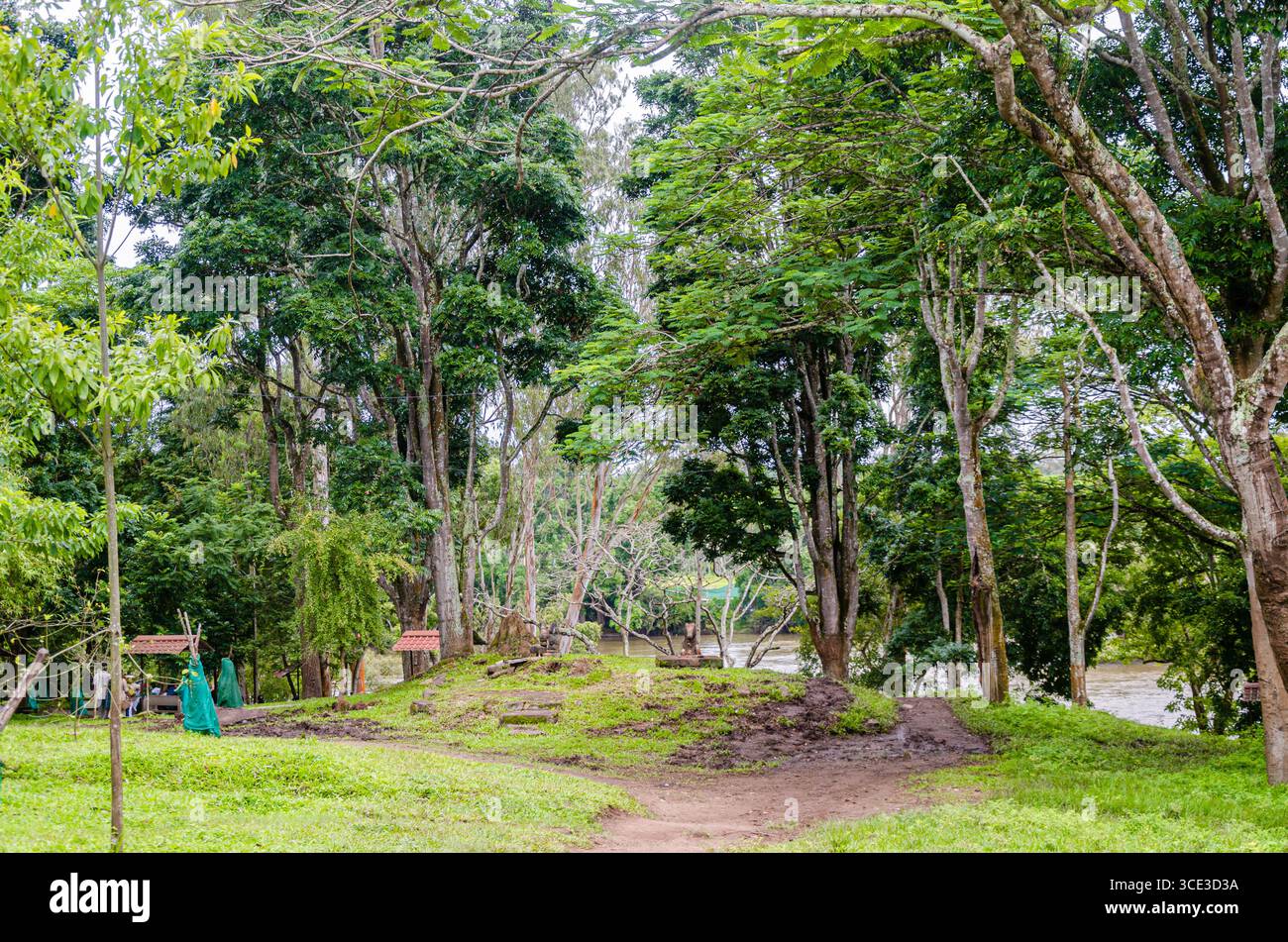 Camp des éléphants à Dubare à Kushalnagar, Madikeri, Karnataka, Inde Banque D'Images Camp des éléphants à Dubare à Kushalnagar, Madikeri, Karnataka, Inde Banque D'Images