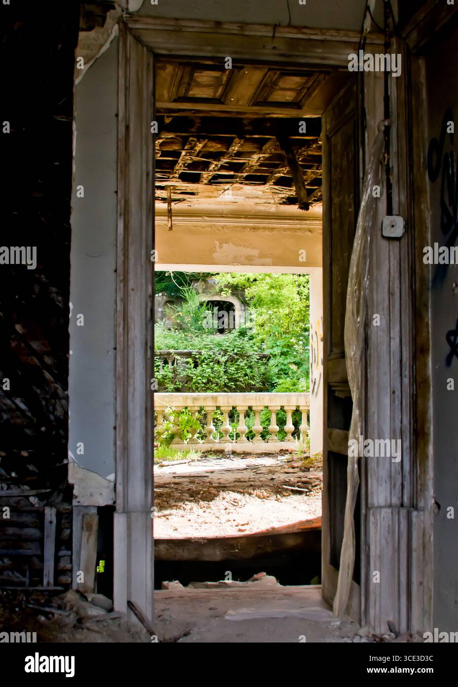 Une image d'un bâtiment abandonné, avec une vue à travers une porte d'un balcon envahi par la végétation. Banque D'Images