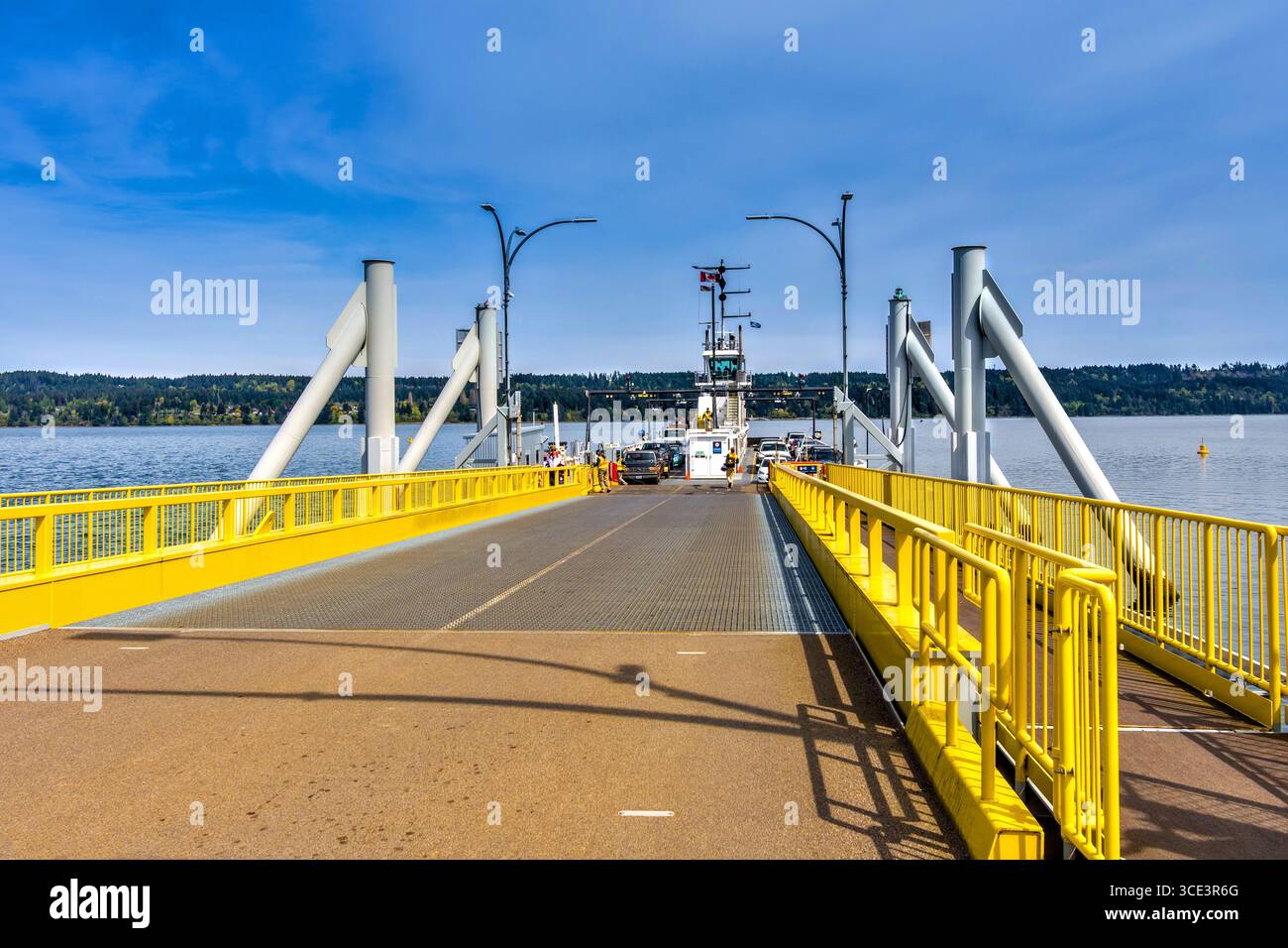 Terminal de traversier par câble BC Ferries sur l'île Denman, Colombie-Britannique, Canada. Banque D'Images