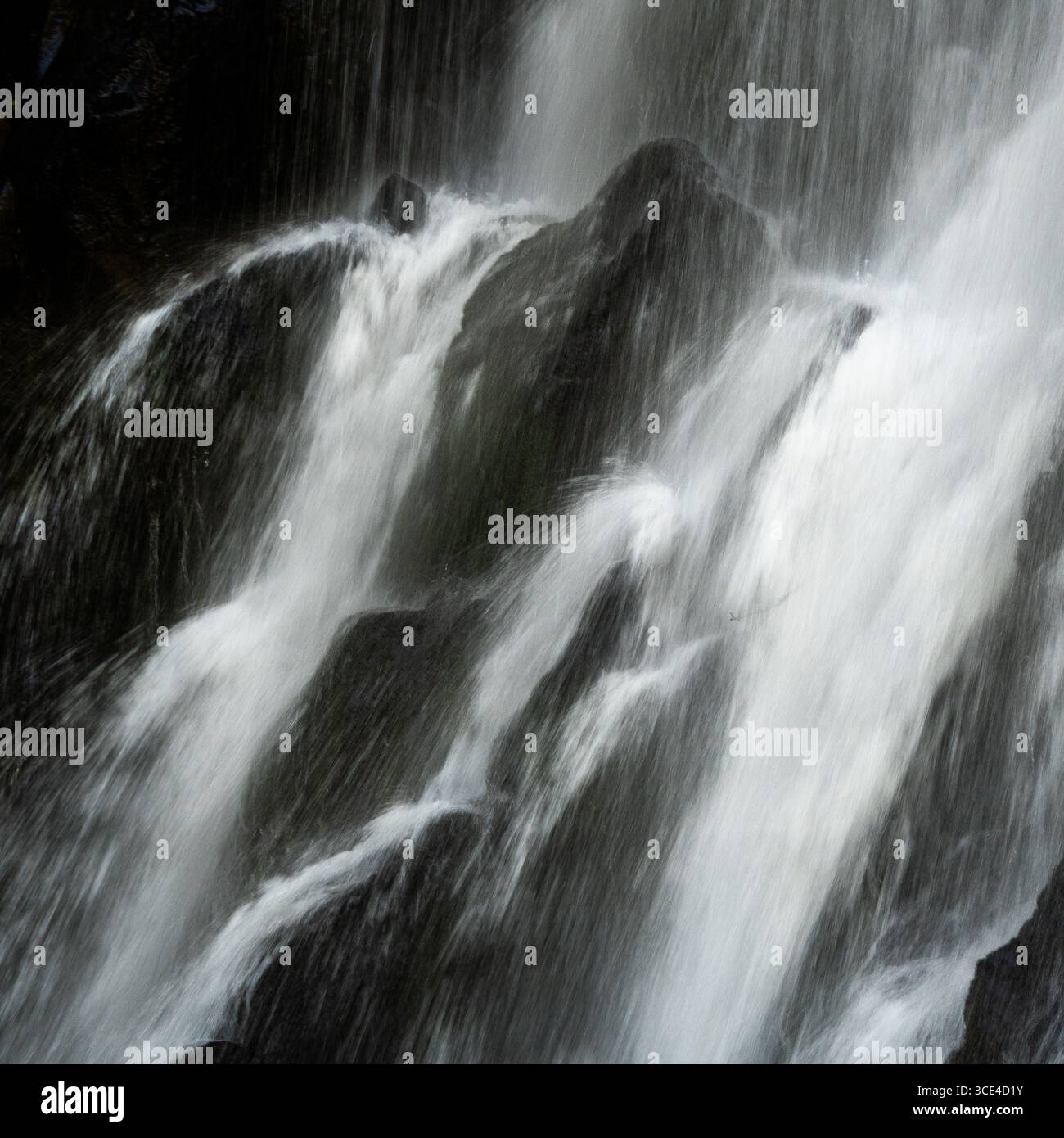 La cascade Vaucoux tombe gracieusement sur des rochers sombres, entourée d'une végétation luxuriante dans la région du Puy de Dôme. Auvergne Rhône Alpes. France Banque D'Images