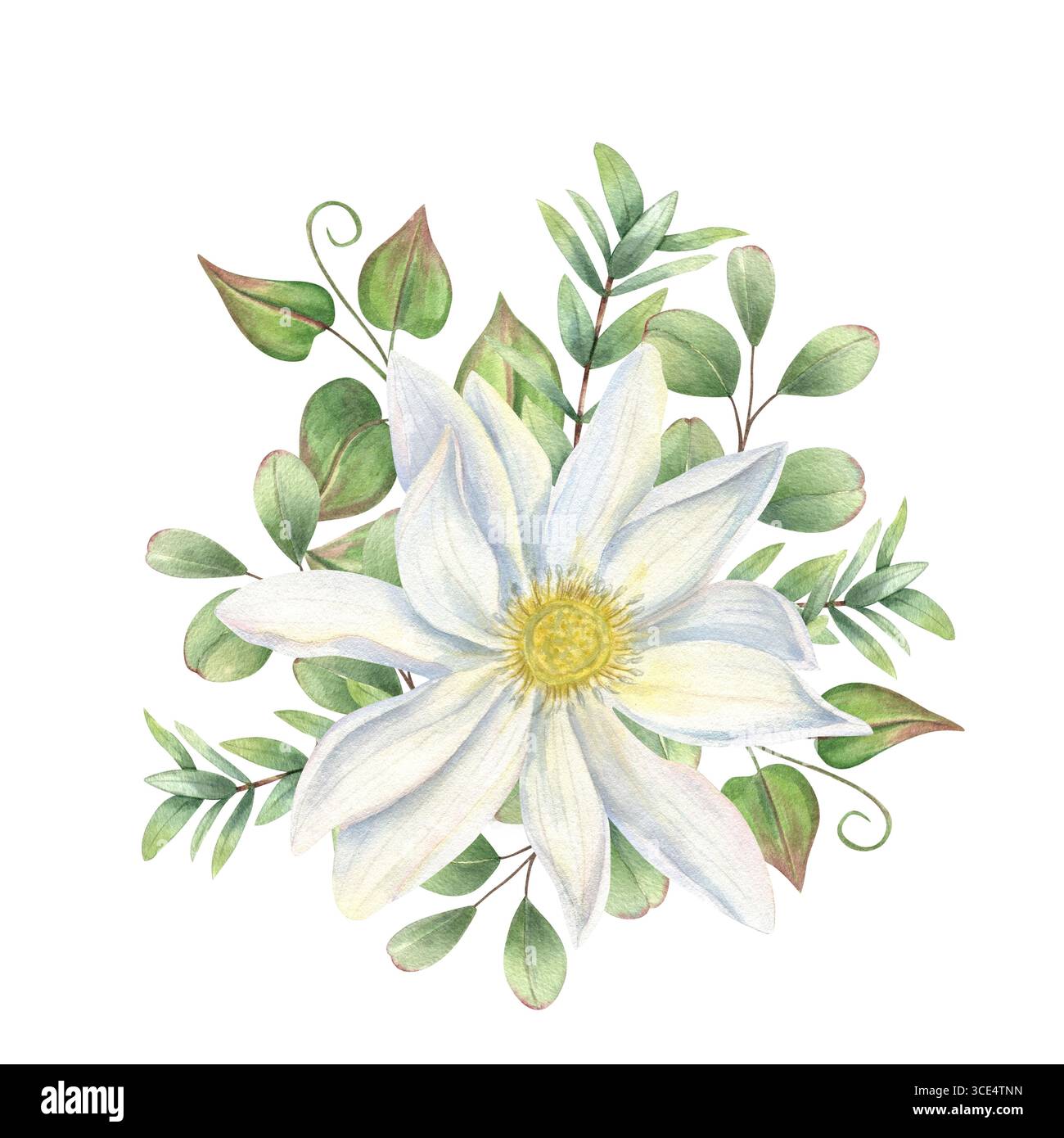 Bouquet d'aquarelle avec des nénuphars et des plantes grimpantes vertes sur fond isolé. Tête de fleur de Lotus, laisse illustration pour le mariage Banque D'Images