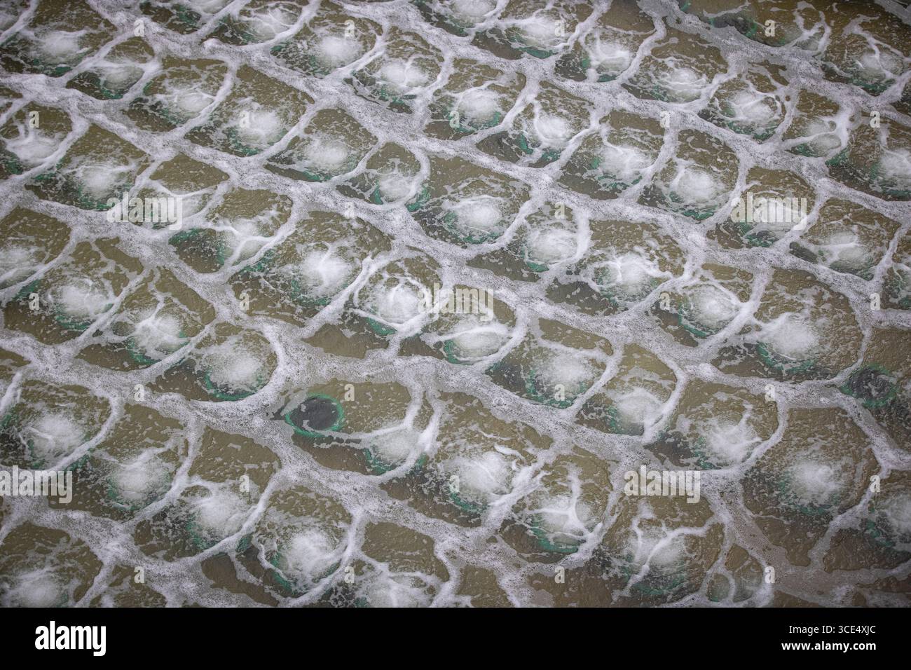 Usine moderne de traitement des eaux usées avec de grands bassins de décantation, systèmes de filtration et infrastructure industrielle soutenant la purification de l'eau et l'envi Banque D'Images
