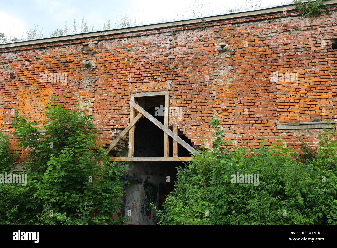 Mur de briques rouges fissuré avec surcroissance au fort Owcza Góra, Kłodzko Banque D'Images