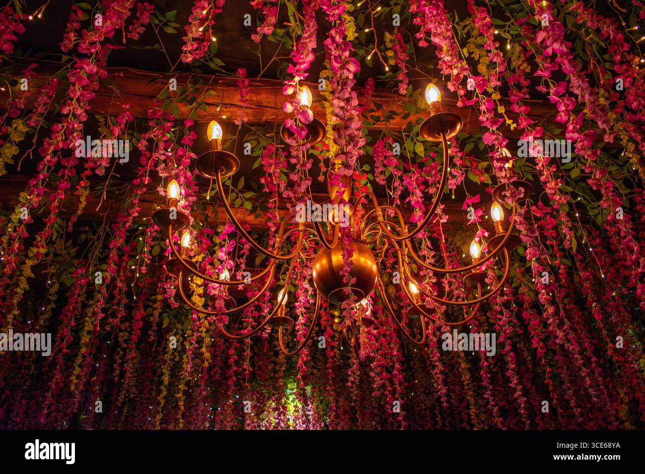 Un beau lustre entouré de fleurs roses en cascade et de verdure à Villa de Leyva, Boyaca, Colombie, créant une atmosphère romantique. Banque D'Images
