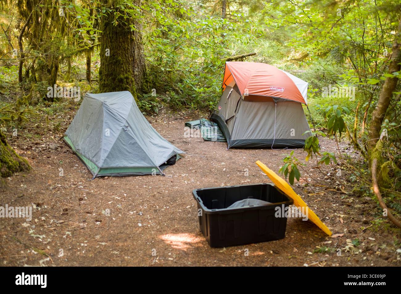 Deux petites tentes en configuration à compensation fumisterie de camping, forêt nationale de Willamette, Marion County, Oregon, USA Banque D'Images