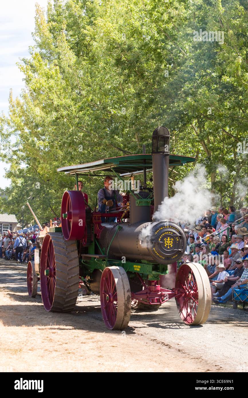 Femme au volant d'une traction à vapeur 1912 Aultman-Taylor moteur au-delà des spectateurs lors de défilé de la grande puissance à l'Oregon, Steam-Up Powerland Herit Banque D'Images