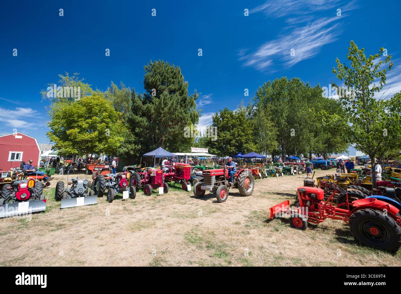 Homme conduisant un Massey-Ferguson rouge 130 tracteur à essence au cours de la Grande Maine Steam-Up au Powerland Heritage Park, Salem, comté de Marion, Banque D'Images
